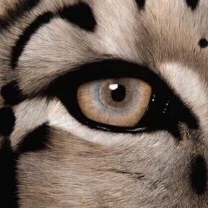 国产在线视频网
