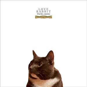 国产在线视频网
